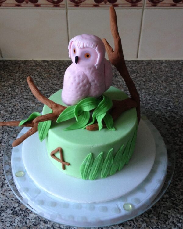 Owl Cake